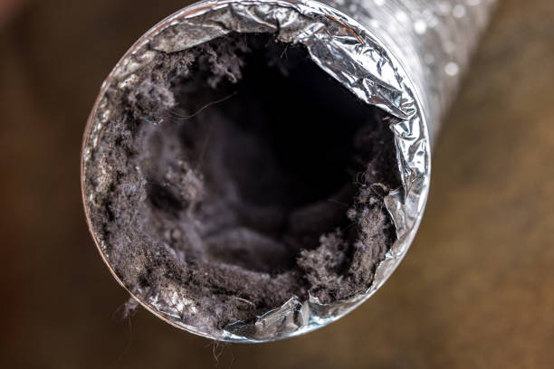 Best Affordable Duct Cleaning Services  in East Greenville, PA