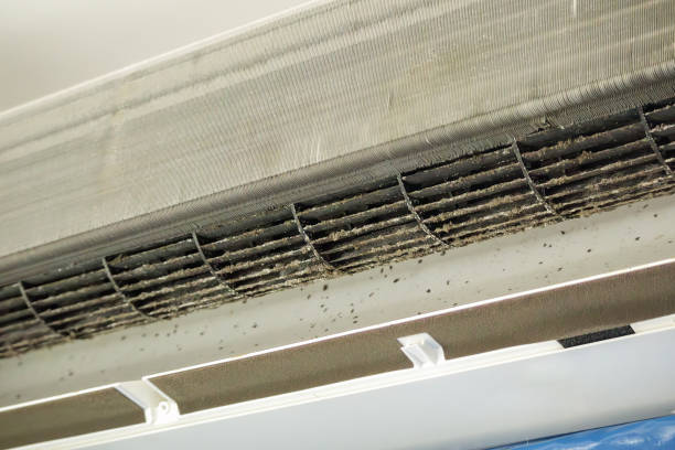 Best Residential Air Duct Cleaning  in East Greenville, PA